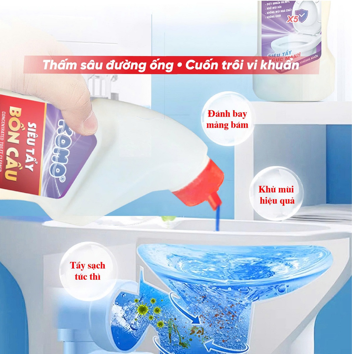 z7392619480541_9f52c8588a46b5109cbbb6b62228ba12